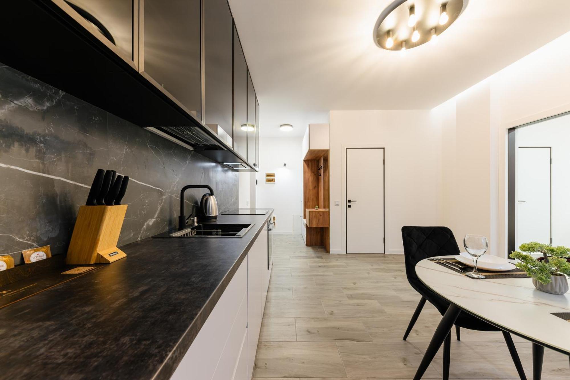 Luxury Apartments Laborca Użhorod Zewnętrze zdjęcie